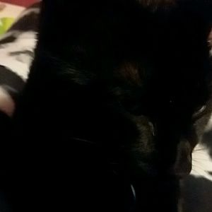 Meet your Posher, Abigail